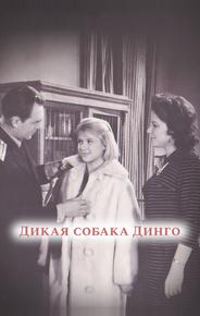 Дикая собака динго