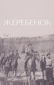 Жеребенок