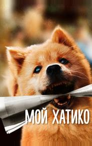 Мой Хатико