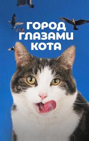 Город глазами кота