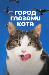 Город глазами кота
