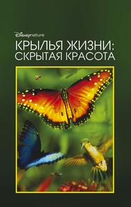 Крылья жизни: Скрытая красота