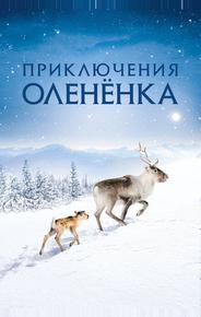 Приключения олененка