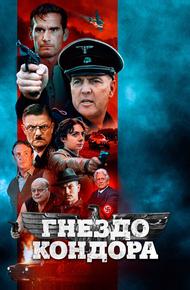 Гнездо кондора