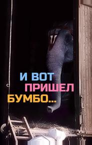 И вот пришел Бумбо...