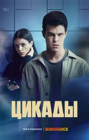 Цикады