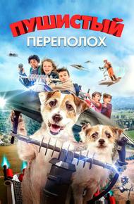 Пушистый переполох