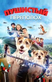 Пушистый переполох