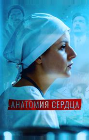 Анатомия сердца