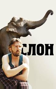 Слон