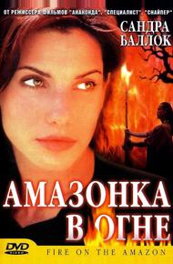 Амазонка в огне