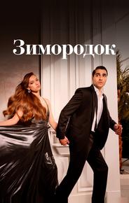 Зимородок