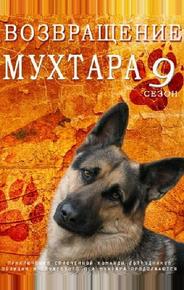 Возвращение Мухтара 9