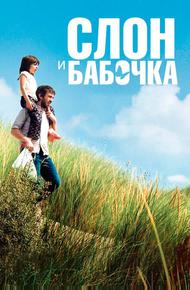 Слон и бабочка