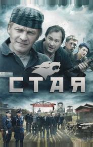 Стая