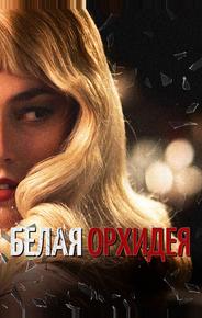 Белая орхидея