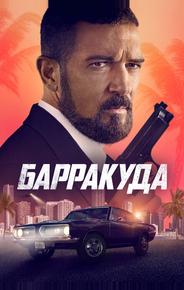 Барракуда