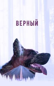 Верный