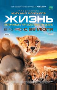 Жизнь