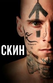 Скин