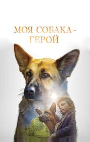Моя собака — герой
