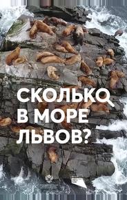 Сколько в море львов?