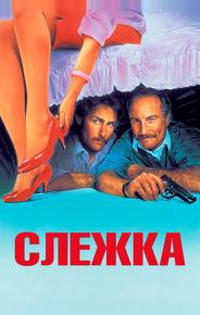 Слежка