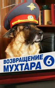 Возвращение Мухтара 6