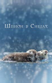 Шпион в снегах