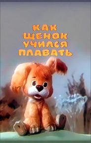 Как щенок учился плавать