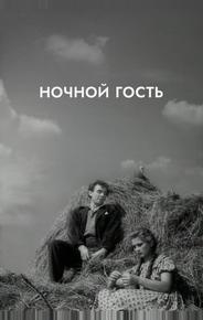 Ночной гость