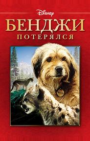 Бенджи потерялся