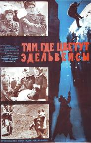 Там, где цветут эдельвейсы
