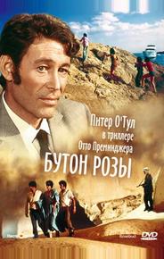 Бутон розы