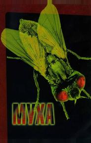 Муха