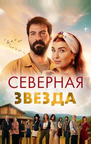Полярная звезда