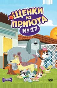 Щенки из приюта № 17