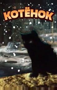 Котёнок