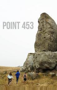 Мыс 453