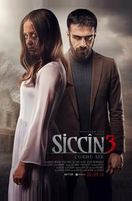 Сиджин 3