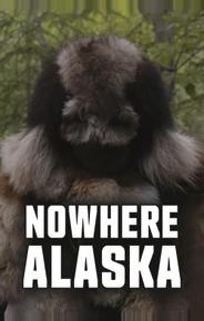 Потерянные на Аляске