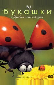 Букашки