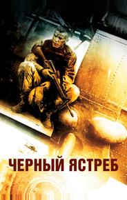 Черный ястреб