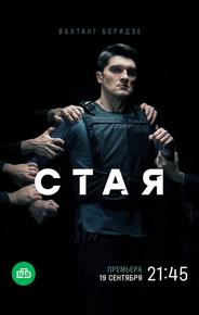 Стая