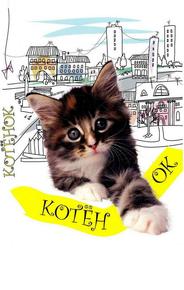 Котенок