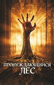 Пробуждающийся лес