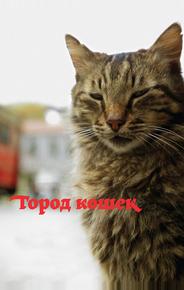Кот