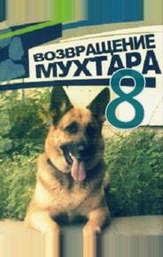 Возвращение Мухтара 8
