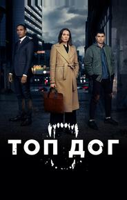 Топ дог