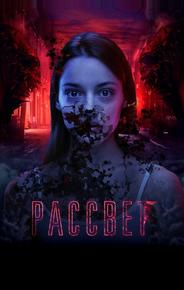 Рассвет